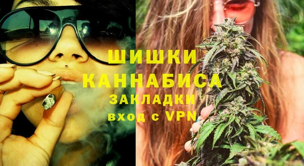 МДПВ Богородицк