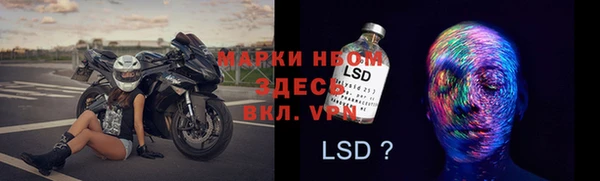 эйфоретик Богданович