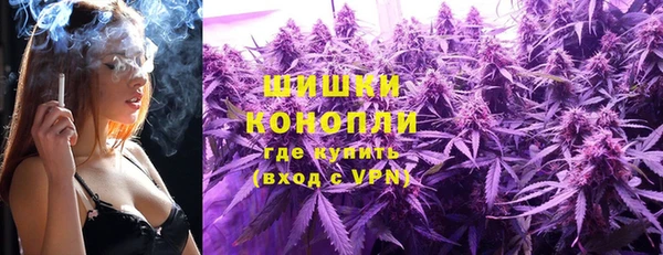 МДПВ Богородицк
