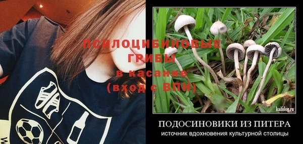 МДПВ Богородицк