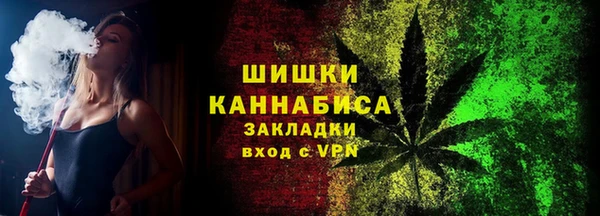 эйфоретик Богданович