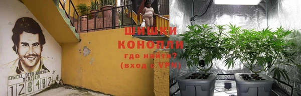 МДПВ Богородицк